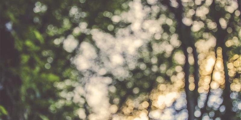 后疫情时代企业供应链风险管理：融合ISO认证、质量管理与CAS-KKH的创新策略