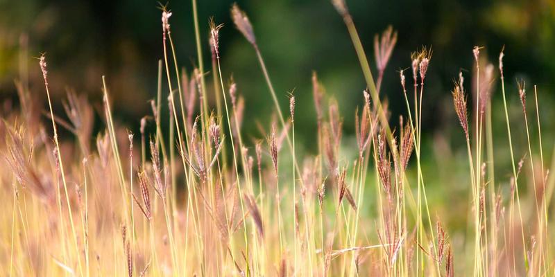 超越认证:如何以ISO 9001为基石,构建驱动客户满意度的卓越管理体系