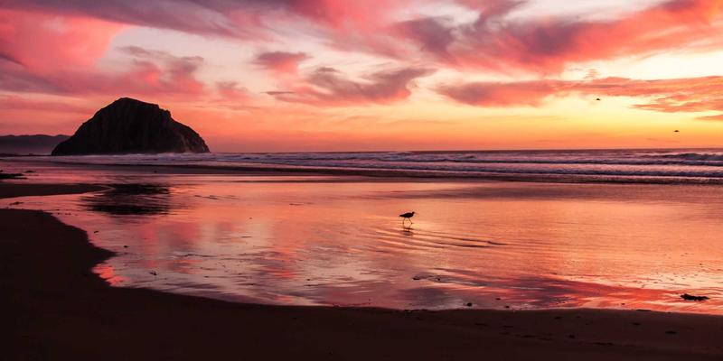 项目化管理：打破部门墙，激活企业运营的临时性组织革命